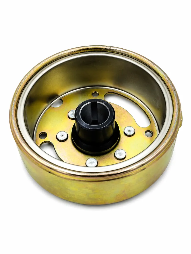 Q07-1076 MAGNETO DS 2.webp