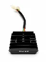 Q06-2014 REGULADOR EX 200 RT 200.webp