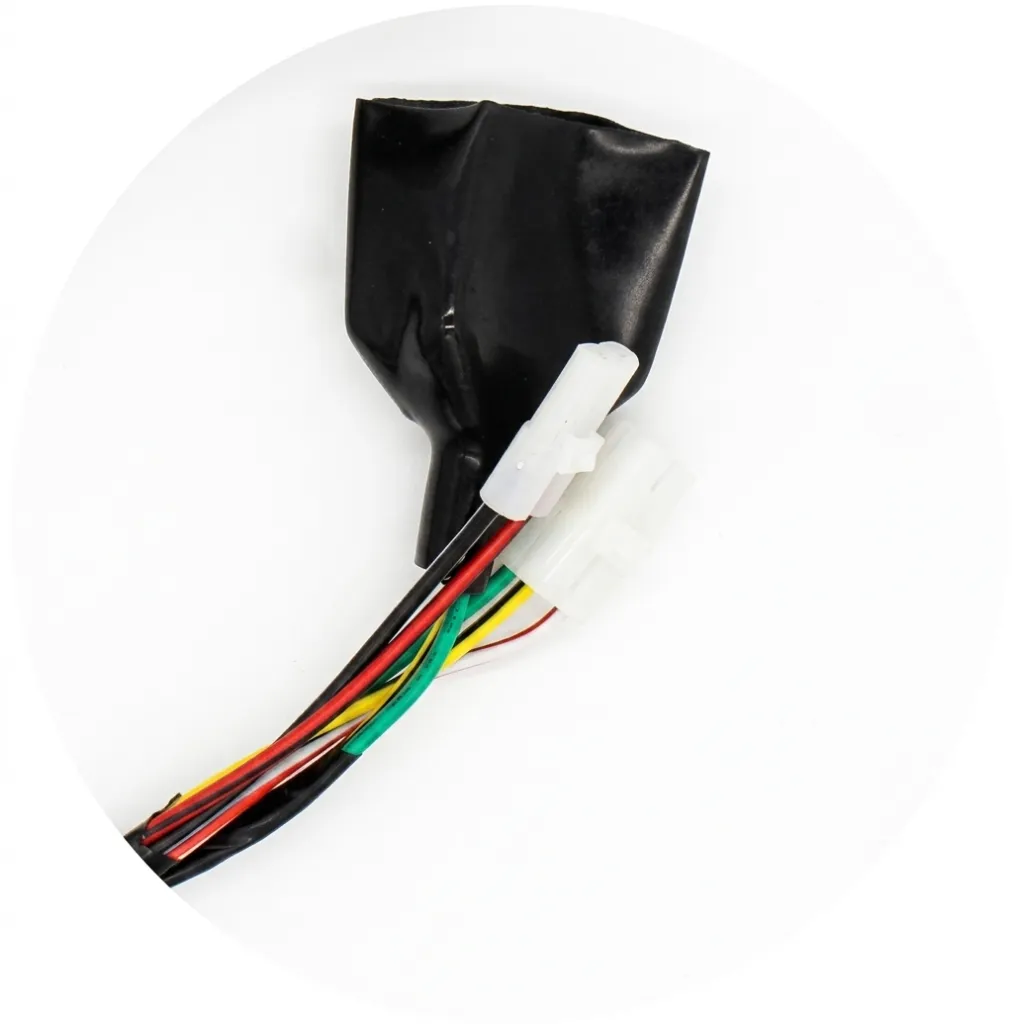 Q07-4008 ARNES PRINCIPAL DS 150 1.webp