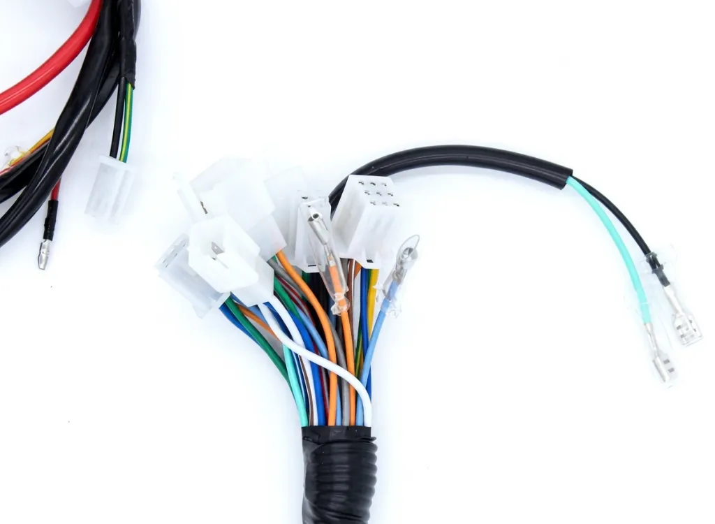 Q06-4004 ARNES PRINCIPAL FT 125 2.webp