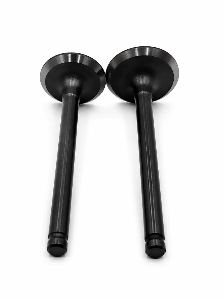 Q06-1115 VALVULAS DE MOTOR AT 110.webp