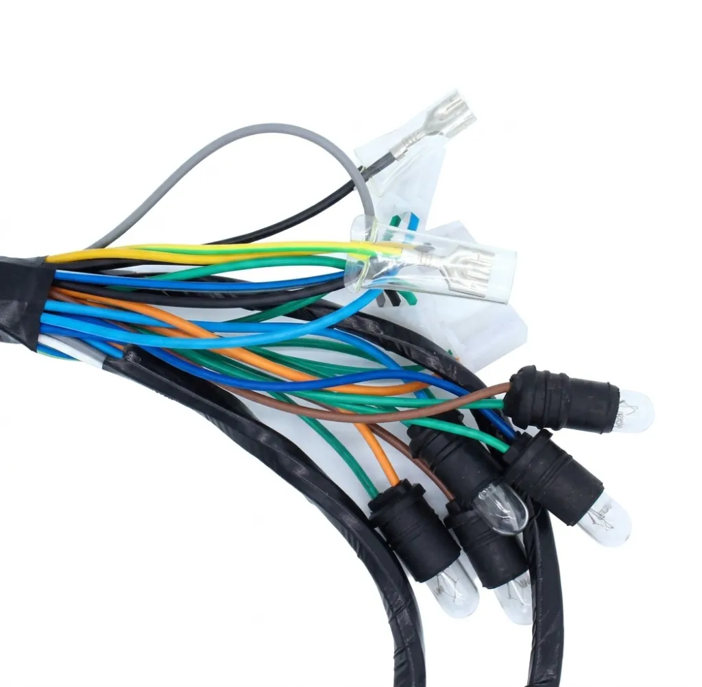 Q07-4009 ARNES SUPLEMENTARIO DS 2.webp