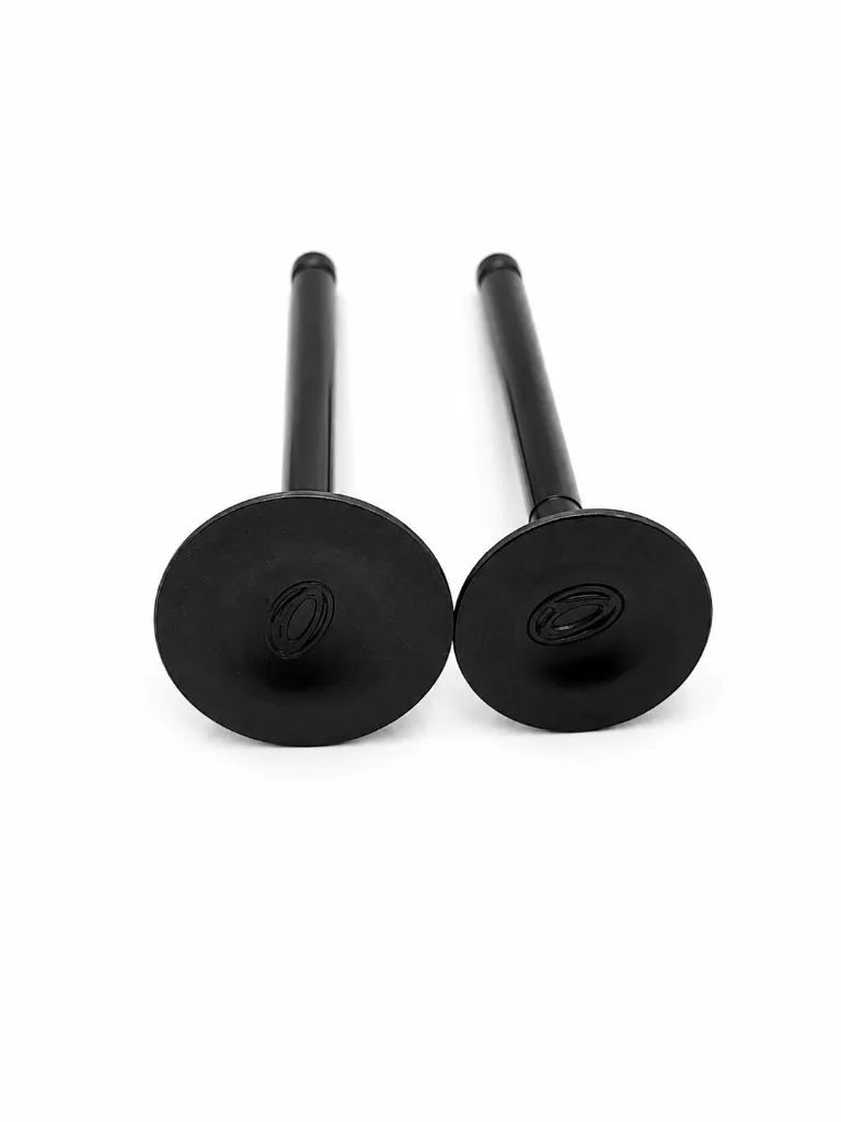 Q07-1021 VALVULAS DE MOTOR DS 125 CS 125 1.webp