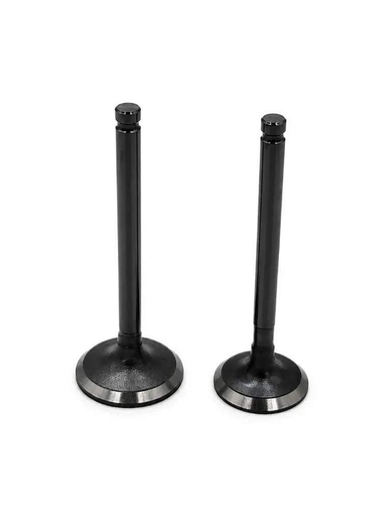 Q07-1021 VALVULAS DE MOTOR DS 125 CS 125.webp