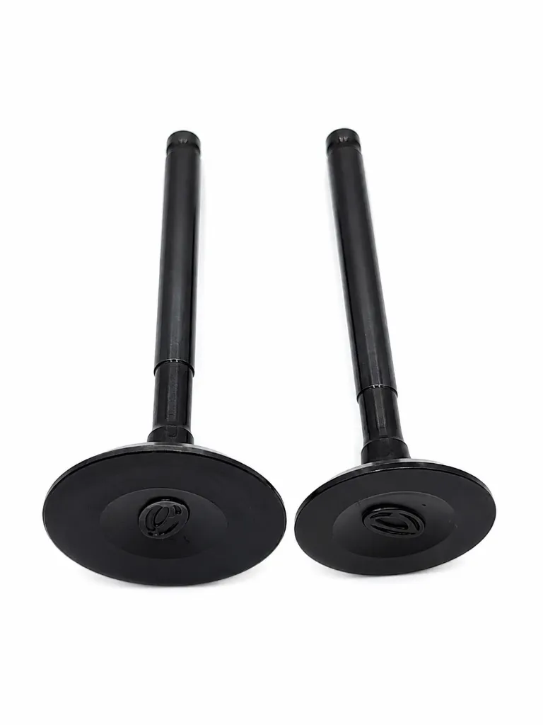 Q07-1020 VALVULAS DE MOTOR DS 150 2.webp