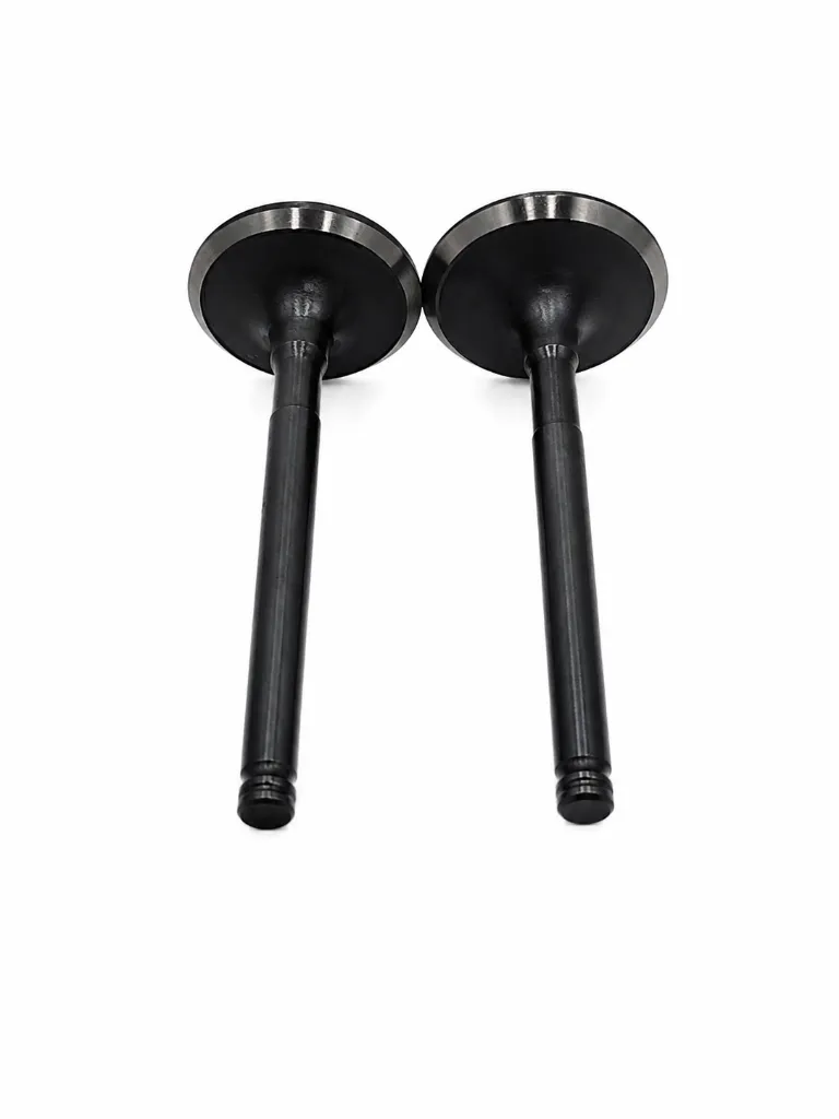 Q07-1020 VALVULAS DE MOTOR DS 150 3.webp