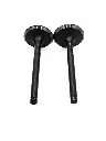 Q07-1020 VALVULAS DE MOTOR DS 150 3.webp