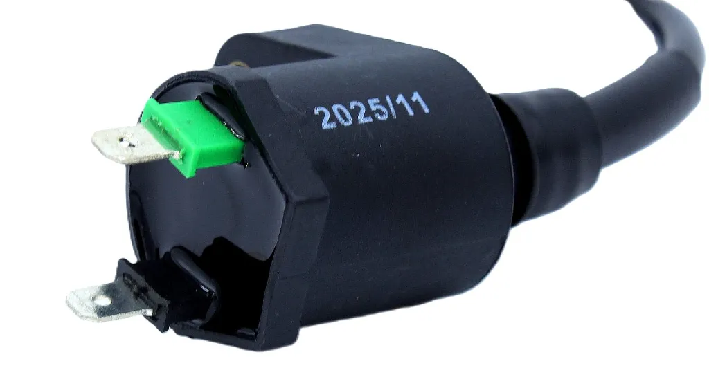 Q07-2007 BOBINA DE IGNICION DS 4 (1).webp