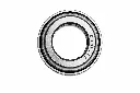 Q06-4003 TAZAS FT 125 2.webp