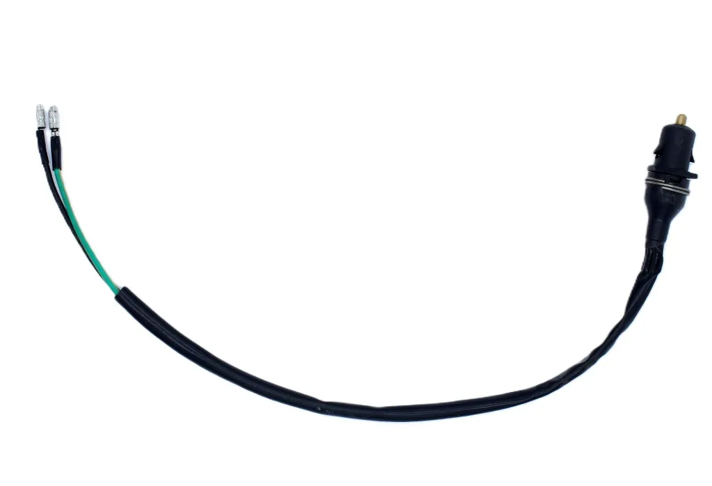 Q07-3030 INTERRUPTOR DE FRENO DELANTERO WS 150.webp