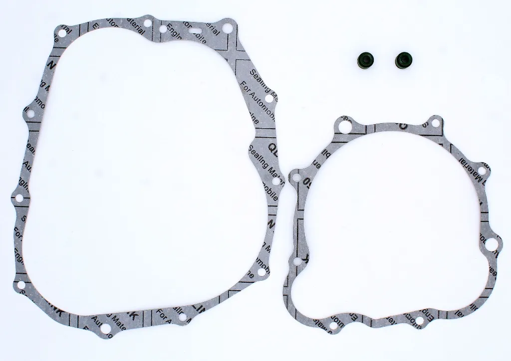 Q06-1008 JUNTAS DE MOTOR FT 150 1.webp