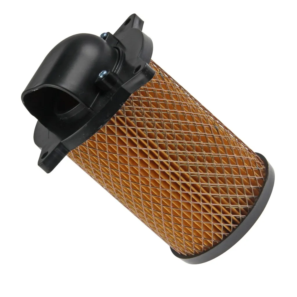 F08010159 ELEMENTO FILTRANTE DM 150.webp