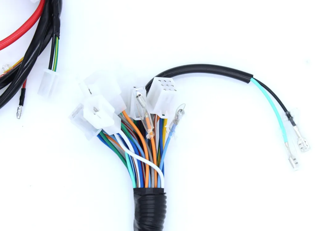 Q06-4004 ARNES PRINCIPAL FT 125 1.webp