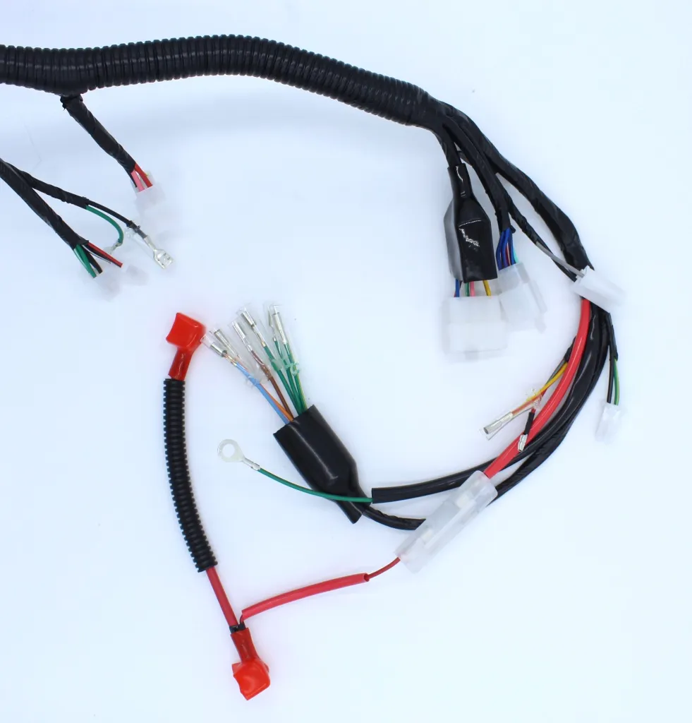 Q06-4004 ARNES PRINCIPAL FT 125 2.webp