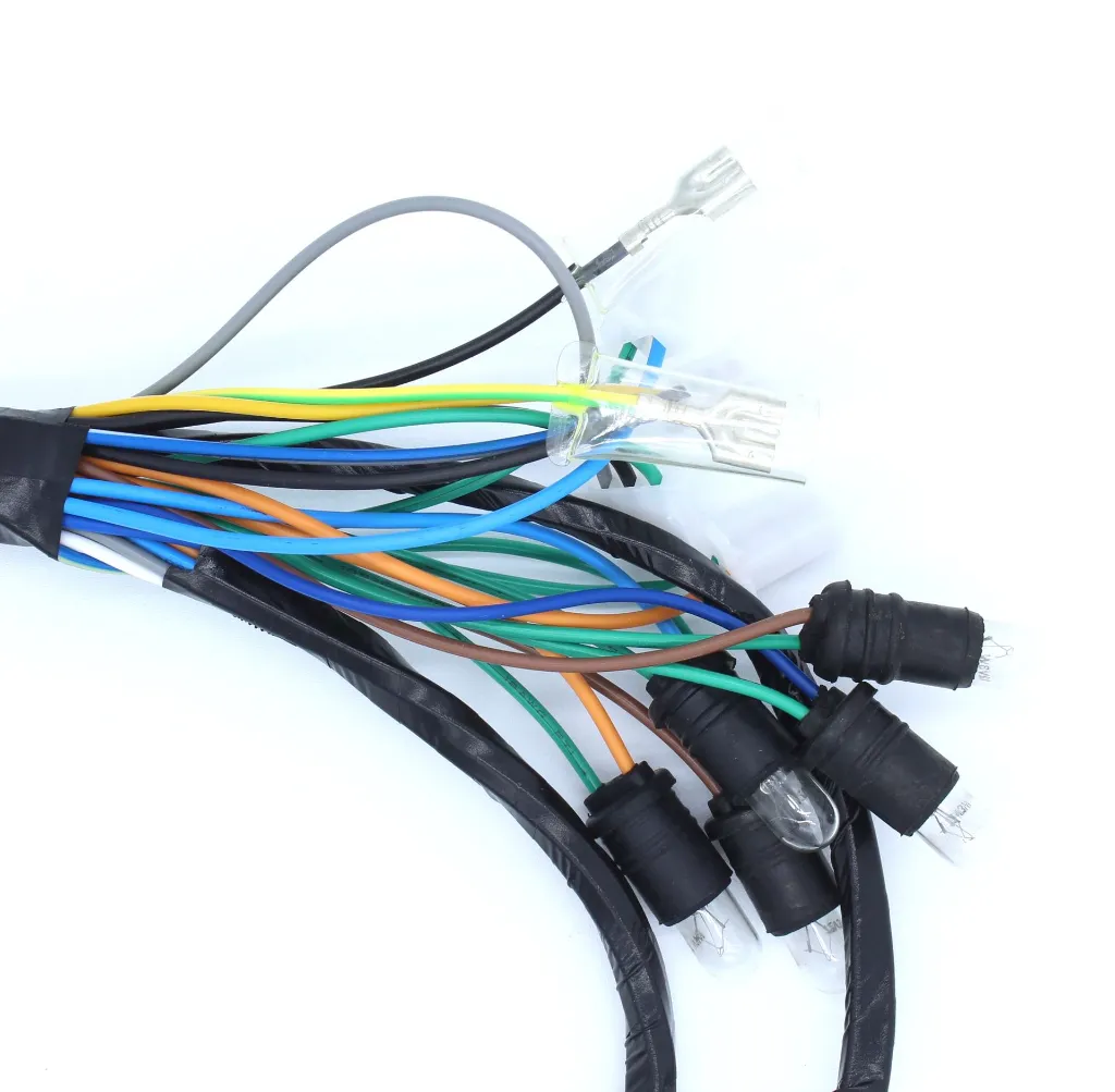 Q07-4009 ARNES SUPLEMENTARIO DS 2.webp