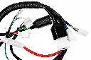 Q06-4004 ARNES PRINCIPAL FT 125 3.webp