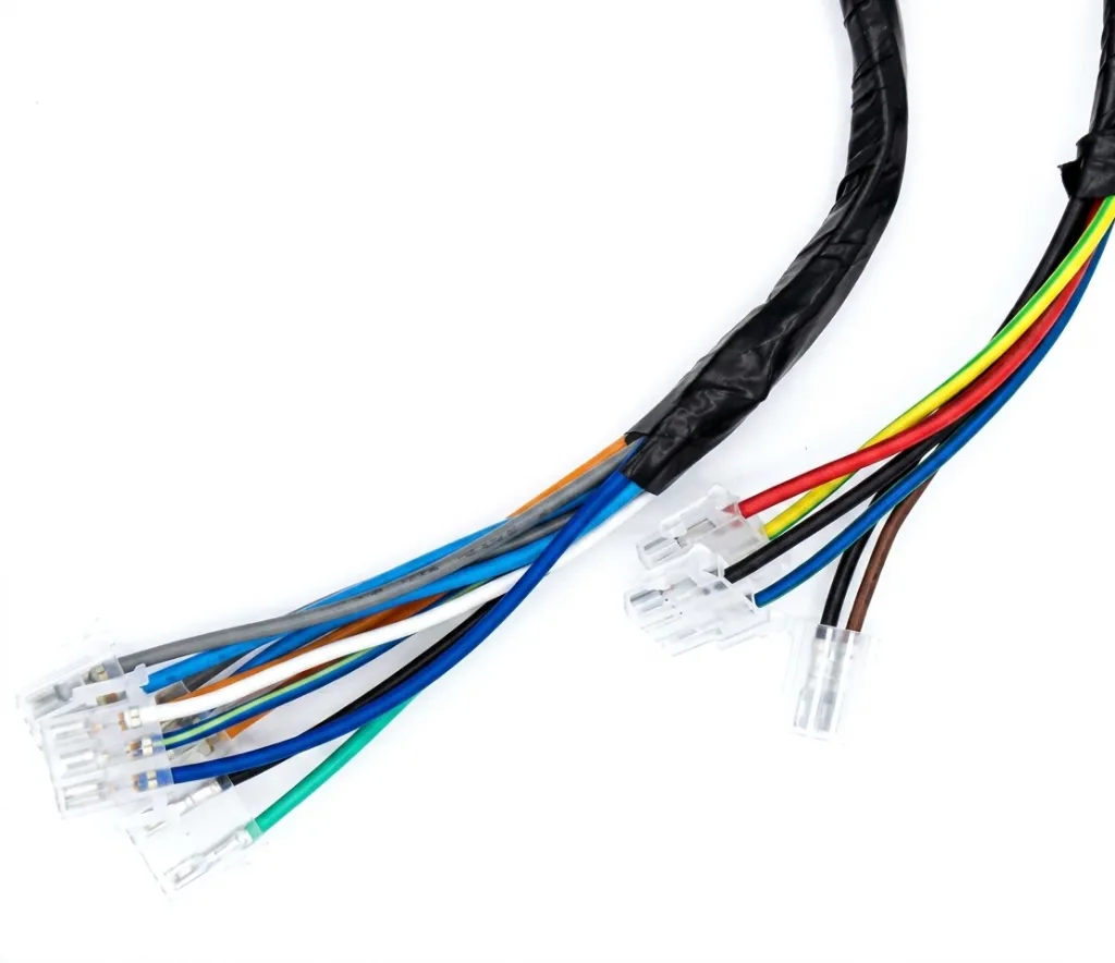 Q07-4009 ARNES SUPLEMENTARIO DS 1.webp
