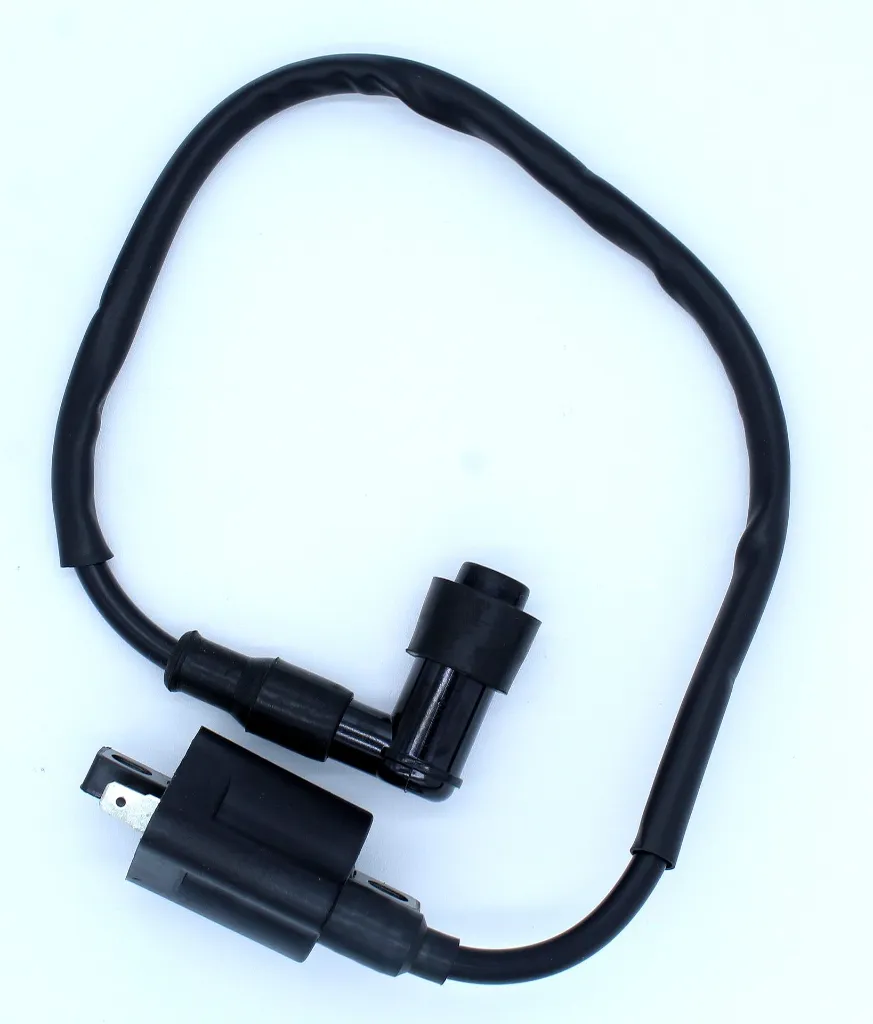 Q06-2003 BOBINA DE IGNICION FT 2.webp