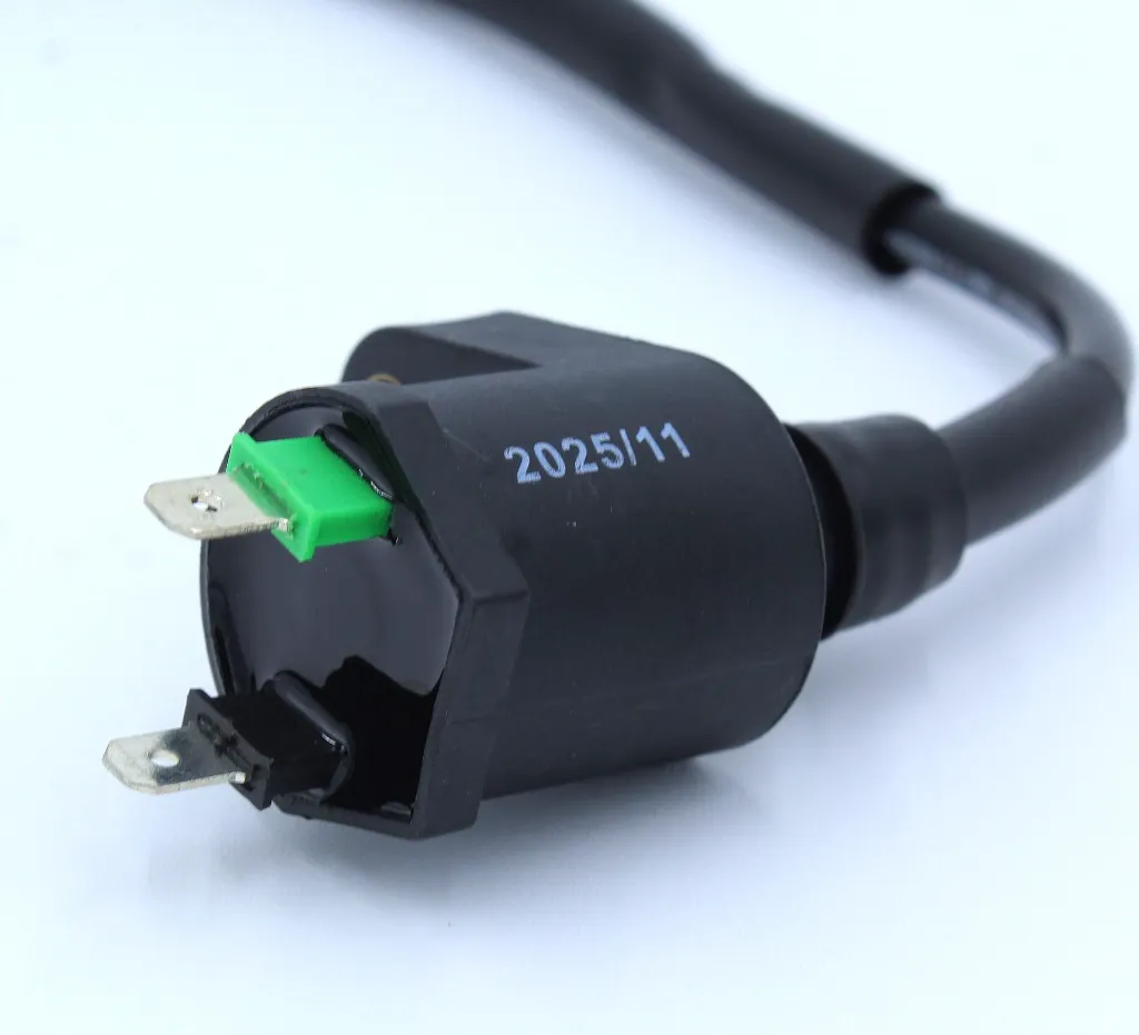 Q07-2007 BOBINA DE IGNICION DS 4.webp