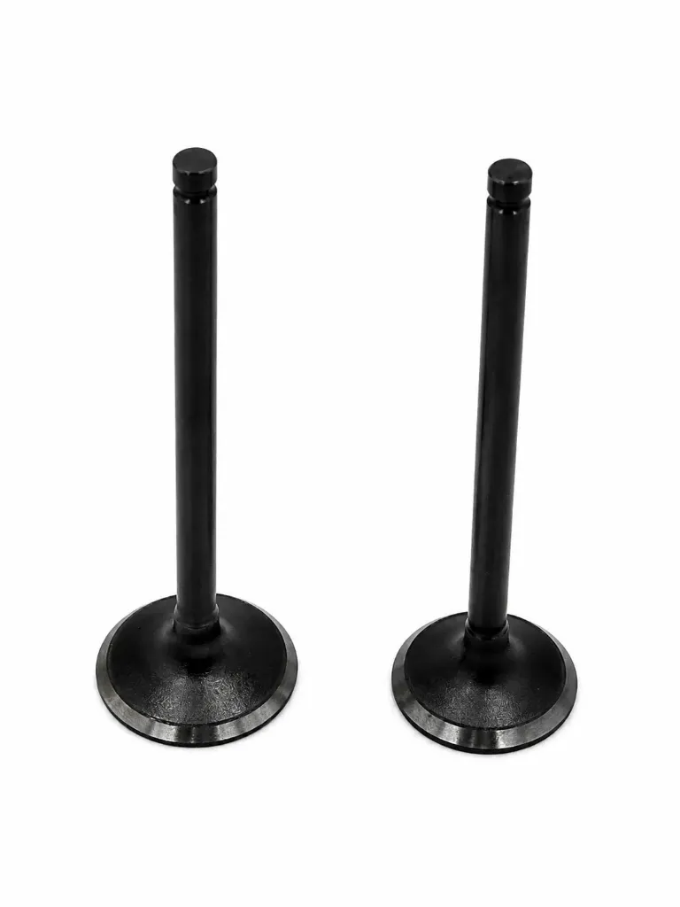 [Q06-1120] [QLINK] VALVULAS DE MOTOR 250 Z