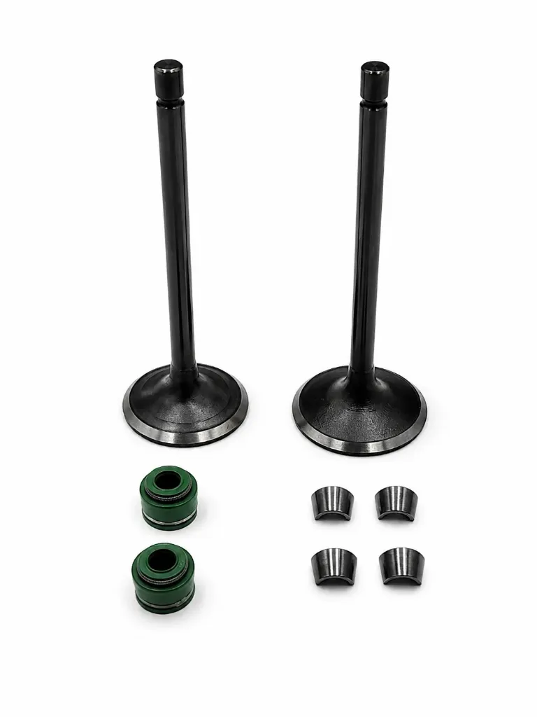 [QLINK] VALVULAS DE MOTOR DM 200
