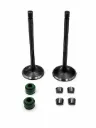 [QLINK] VALVULAS DE MOTOR DM 200