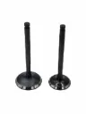 [QLINK] VALVULAS DE MOTOR DS 150, WS 150